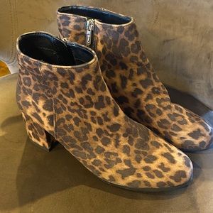 Circus by Sam Edelman Leopard Bootie